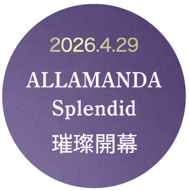 Allamanda Splendid