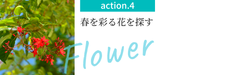 action.4 春を彩る花を探す