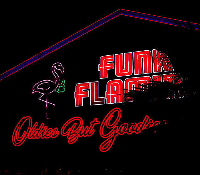 Funky Flamingo(ファンキーフラミンゴ)