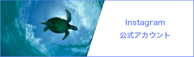 Instagram 公式アカウント