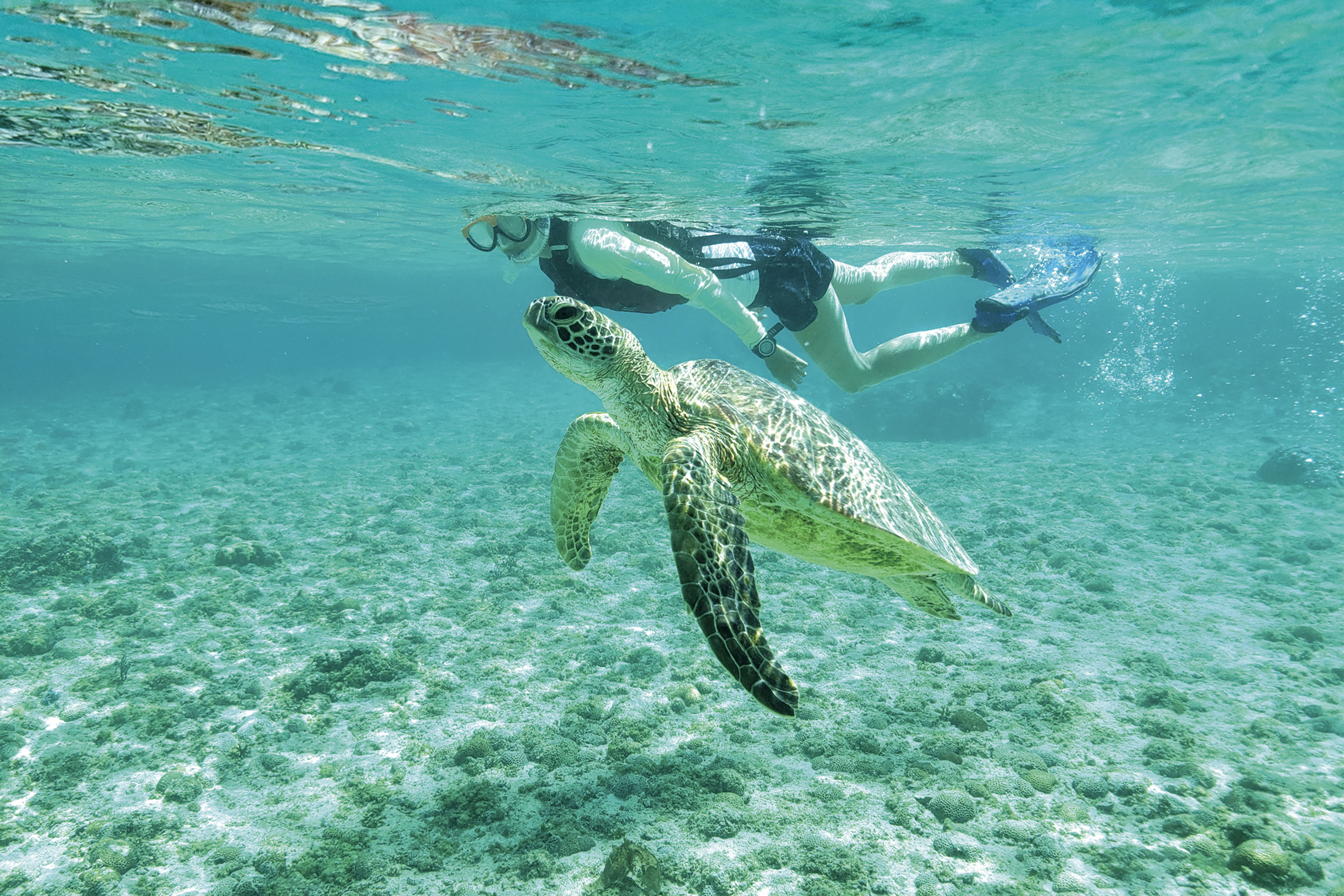 shigira-beach-scuba-diving