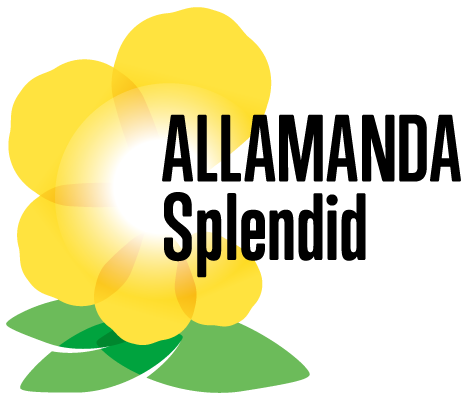 Splendid Flower